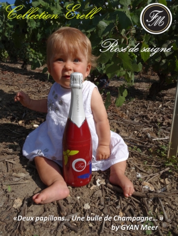 Champagne FAY Michel - 