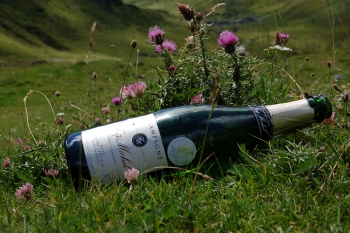 Champagne FAY Michel - 