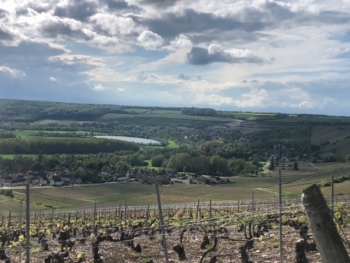 Champagne FAY Michel - 