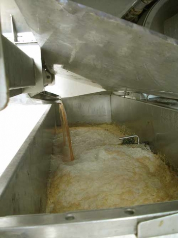 Champagne FAY Michel - Jus de raisins à la sortie du pressoir